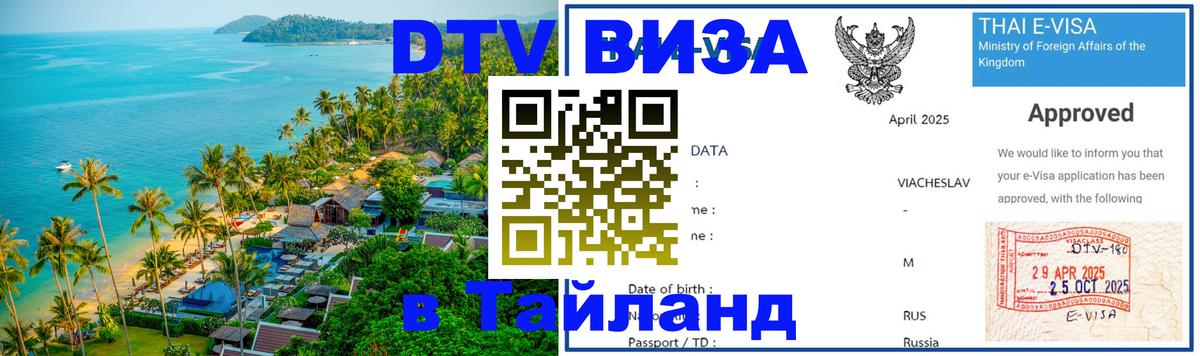 Сколько стоит DTV виза — актуальные цены, оформление даже без документов - Мурманск 